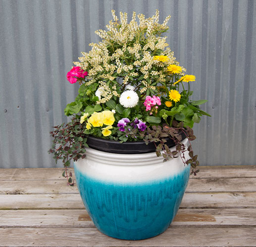 April Container.jpg