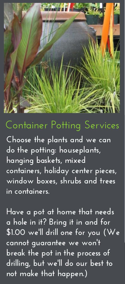 potting.jpg