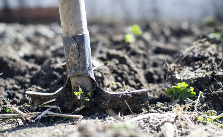 mulching