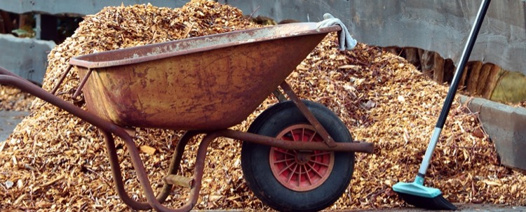 Organic Mulch