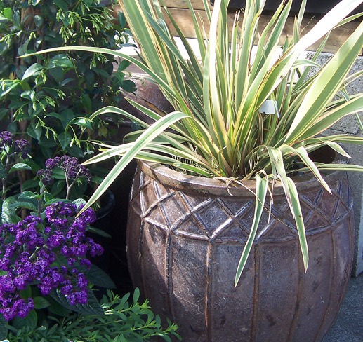 Portland Nursery Container Design