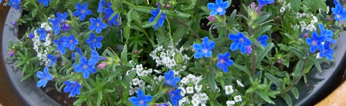may Container