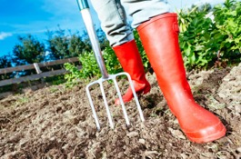 Mulching