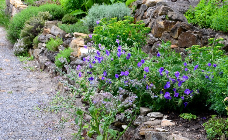 Rock Gardens
