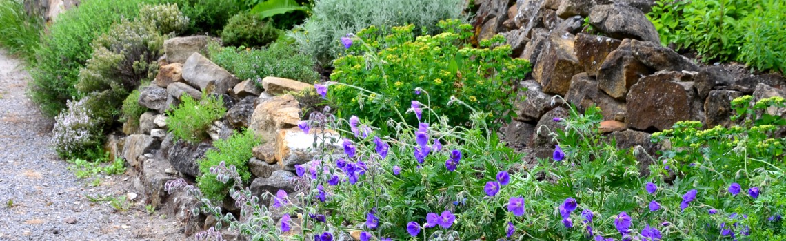 Rock Garden Plants