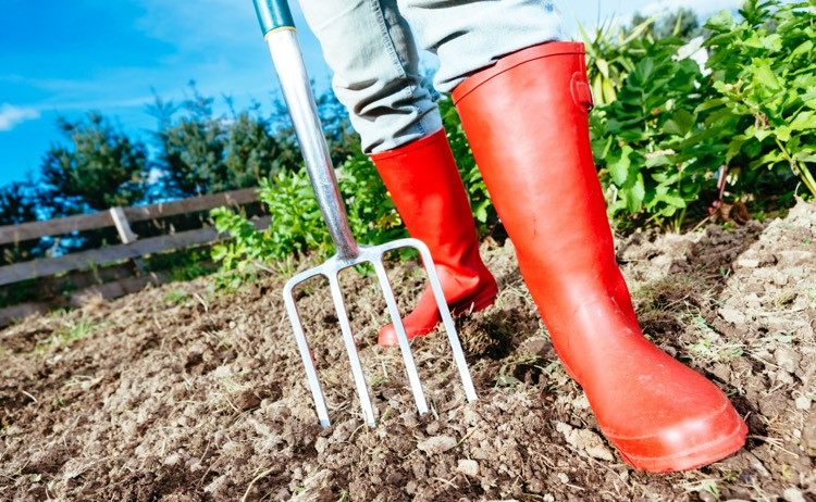 Fall Mulching
