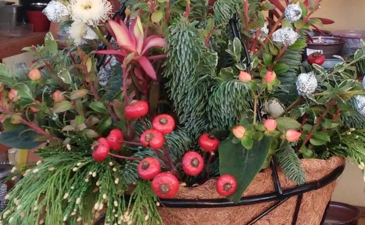 Winter Cheer Containers
