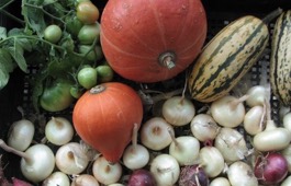 vegetables