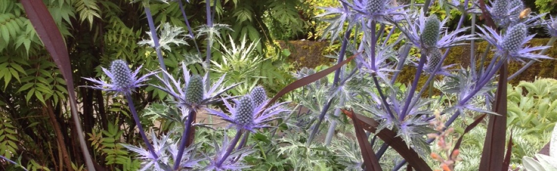 Cascading Perennials