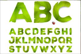 Garden Glossary
