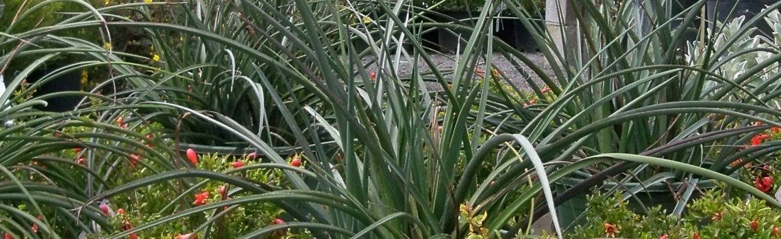 portland nursery
