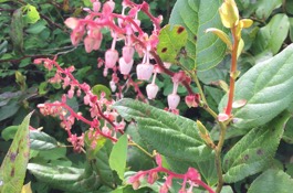 march Gardening