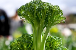 Veggies