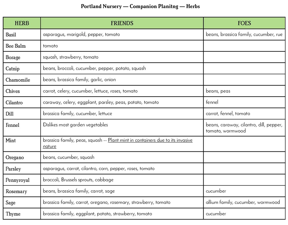 Companion Planting Portland Nursery