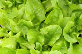 Veggies