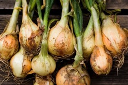 Veggies